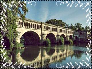 FRENCH TEACHER DELHI coaching | CBSE IB IGCSE GCSE ICSE SAT ACT expert tuition