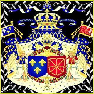 FRENCH TUTORS DELHI coaching | DELF Junior for juniors / adolescents of DELF diplomas expert tuition